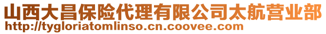 山西大昌保險代理有限公司太航營業部
