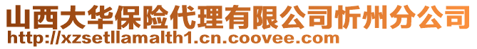 山西大華保險代理有限公司忻州分公司