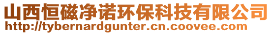 山西恒磁凈諾環(huán)保科技有限公司