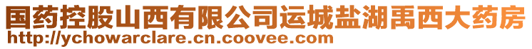 國藥控股山西有限公司運城鹽湖禹西大藥房