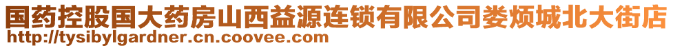 國藥控股國大藥房山西益源連鎖有限公司婁煩城北大街店