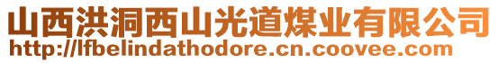 山西洪洞西山光道煤業(yè)有限公司