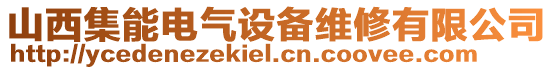 山西集能電氣設備維修有限公司