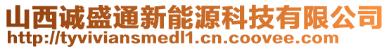 山西誠(chéng)盛通新能源科技有限公司