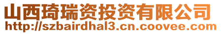 山西琦瑞資投資有限公司