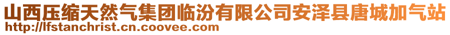 山西压缩天然气集团临汾有限公司安泽县唐城加气站