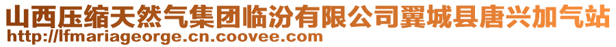 山西壓縮天然氣集團(tuán)臨汾有限公司翼城縣唐興加氣站
