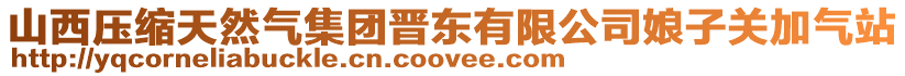 山西压缩天然气集团晋东有限公司娘子关加气站