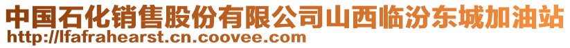 中國石化銷售股份有限公司山西臨汾東城加油站