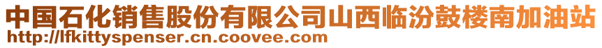 中國石化銷售股份有限公司山西臨汾鼓樓南加油站