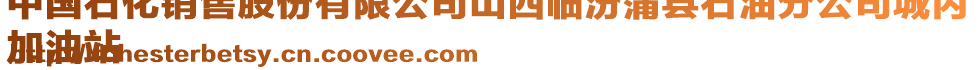 中國(guó)石化銷(xiāo)售股份有限公司山西臨汾蒲縣石油分公司城內(nèi)
加油站