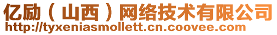 億勵(lì)（山西）網(wǎng)絡(luò)技術(shù)有限公司