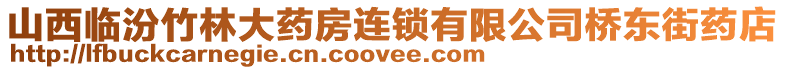 山西臨汾竹林大藥房連鎖有限公司橋東街藥店