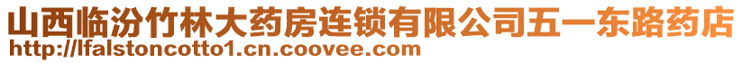 山西臨汾竹林大藥房連鎖有限公司五一東路藥店