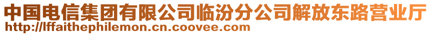 中國(guó)電信集團(tuán)有限公司臨汾分公司解放東路營(yíng)業(yè)廳