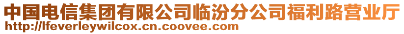 中国电信集团有限公司临汾分公司福利路营业厅