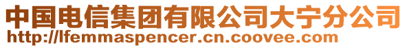 中國電信集團(tuán)有限公司大寧分公司