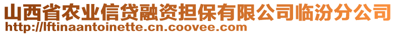 山西省農(nóng)業(yè)信貸融資擔(dān)保有限公司臨汾分公司