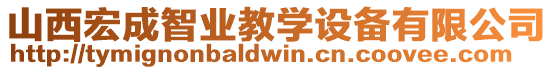 山西宏成智業(yè)教學(xué)設(shè)備有限公司