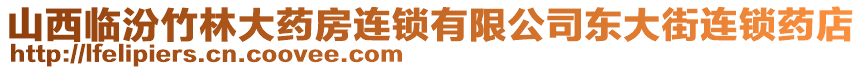 山西臨汾竹林大藥房連鎖有限公司東大街連鎖藥店