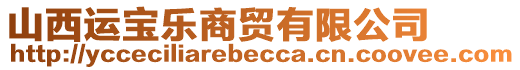 山西運(yùn)寶樂商貿(mào)有限公司