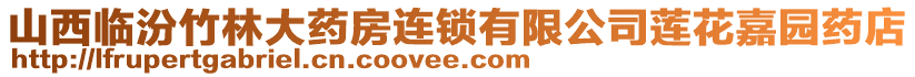 山西臨汾竹林大藥房連鎖有限公司蓮花嘉園藥店