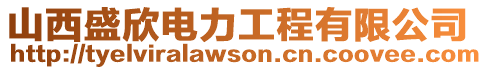 山西盛欣電力工程有限公司