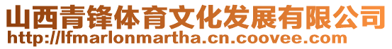 山西青鋒體育文化發展有限公司