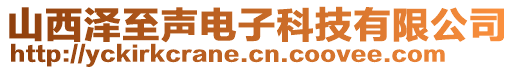 山西澤至聲電子科技有限公司