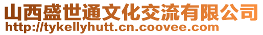 山西盛世通文化交流有限公司