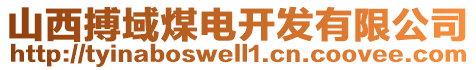 山西搏域煤電開發(fā)有限公司