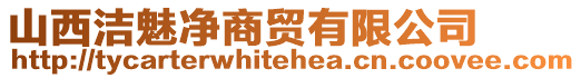 山西洁魅净商贸有限公司