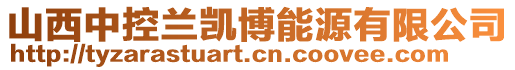 山西中控蘭凱博能源有限公司