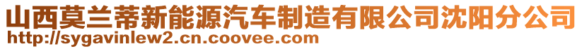 山西莫蘭蒂新能源汽車制造有限公司沈陽分公司