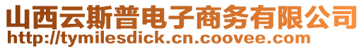 山西云斯普电子商务有限公司