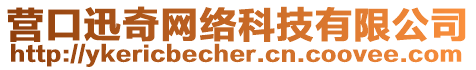 營口迅奇網(wǎng)絡(luò)科技有限公司