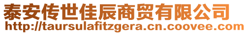 泰安傳世佳辰商貿(mào)有限公司