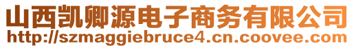 山西凱卿源電子商務(wù)有限公司