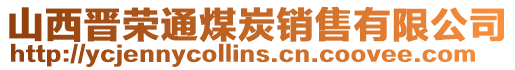 山西晉榮通煤炭銷售有限公司