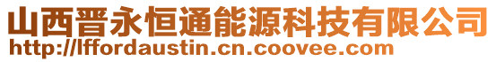 山西晉永恒通能源科技有限公司