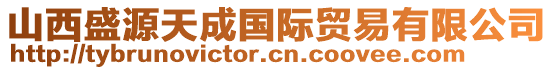 山西盛源天成國(guó)際貿(mào)易有限公司