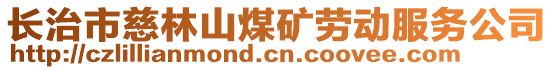 長(zhǎng)治市慈林山煤礦勞動(dòng)服務(wù)公司