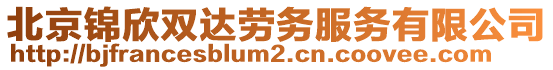 北京锦欣双达劳务服务有限公司