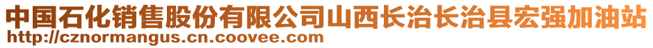 中國石化銷售股份有限公司山西長治長治縣宏強加油站