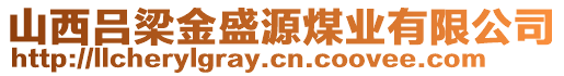 山西呂梁金盛源煤業(yè)有限公司