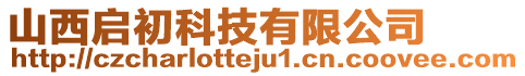 山西啟初科技有限公司