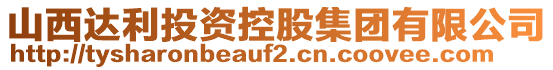 山西達(dá)利投資控股集團有限公司