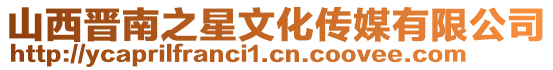 山西晉南之星文化傳媒有限公司