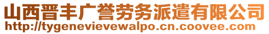 山西晋丰广誉劳务派遣有限公司