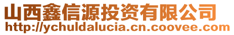 山西鑫信源投資有限公司